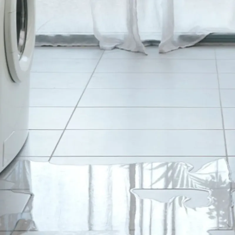 Appliance Leak Cleanup in Lebec, CA